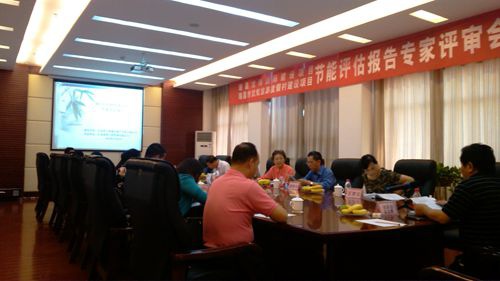 龙翔国际建设、武蛟旅游项目leyu·乐鱼(中国)体育官方网站专家评